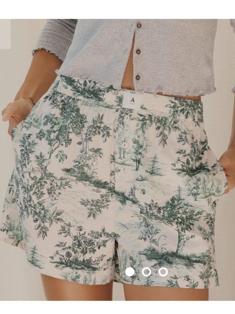 Anthopologie The Wren Boxer Women's Shorts  Size M - Picture 2 of 9